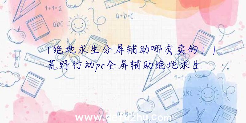 「绝地求生分屏辅助哪有卖的」|荒野行动pc全屏辅助绝地求生